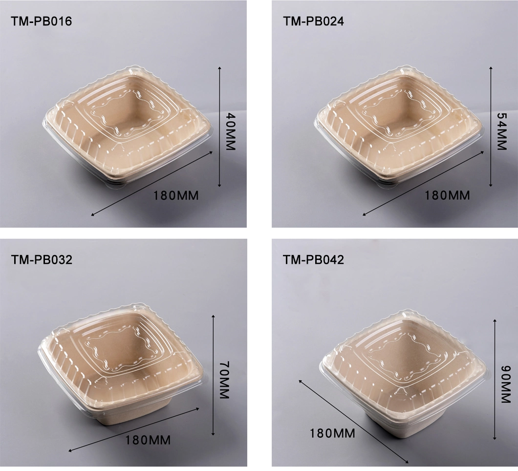 180*180*54mm 24oz Square Bowl with Pet Lid Disposable Compostable Eco Friendly Sugarcane Bagasse Pulp Bowls