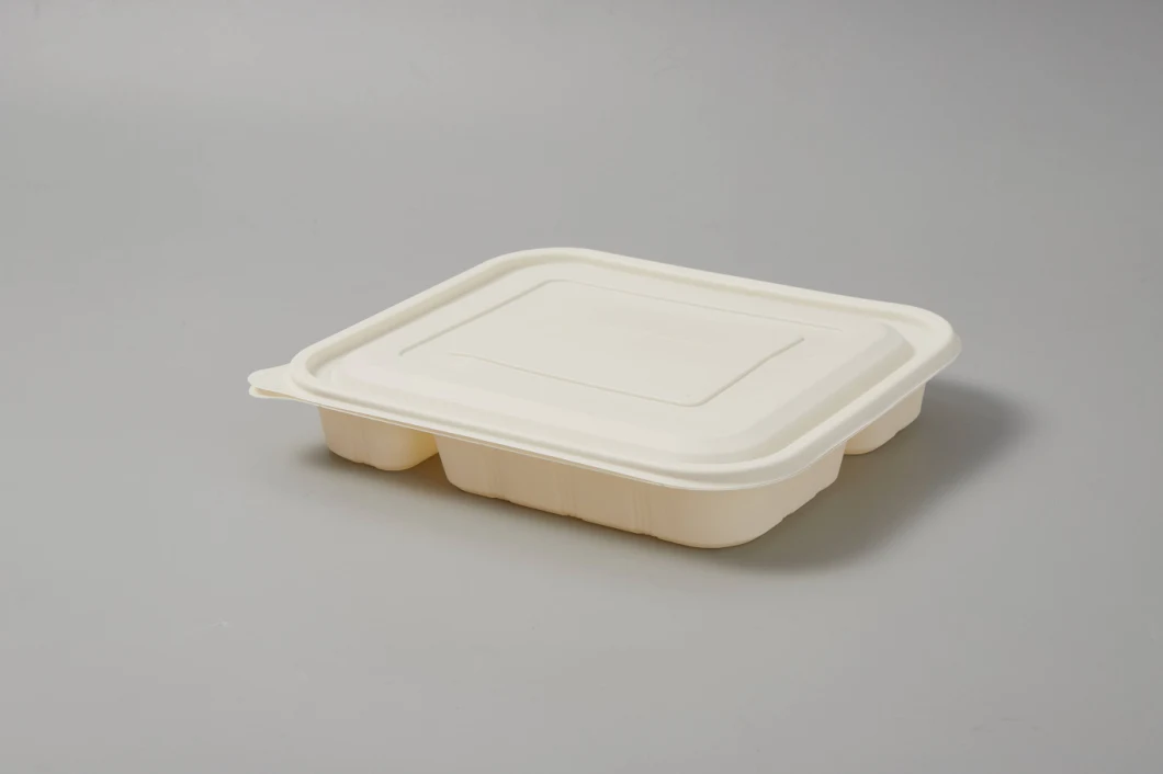 Disposable Food Container Wholesale Cornstarch Surgarcane Bagasse Storage Biodegradable Bento Take Away Fast Lunch Box with Lid