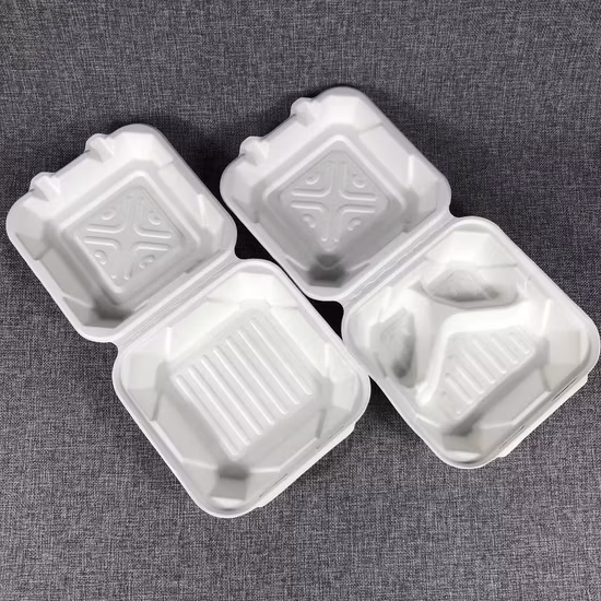 일회용 종이 도시락 생분해성 사탕수수 사탕수수 대합 조개 껍질 테이크아웃 버거 상자